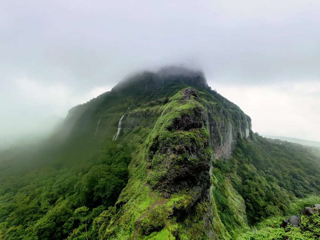 A forested hill path ending in a steep iron ladder and an open plateau of stone caves, offering 360° views of misty Sahyadri peaks