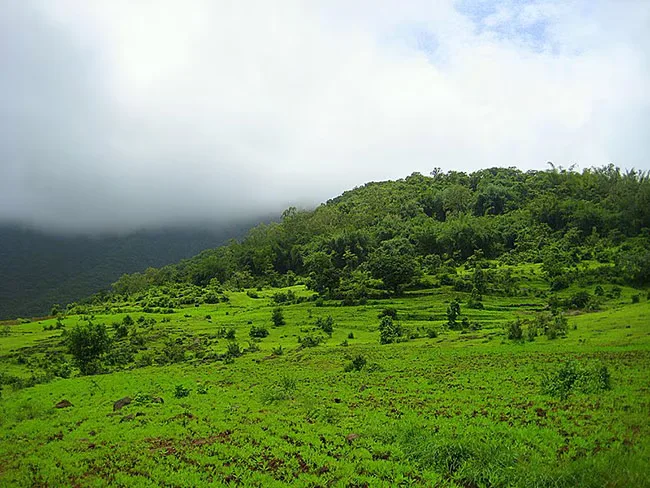 The city has several maintained green spaces such as Empress Garden, Saras Baug, and Peshwe Park.