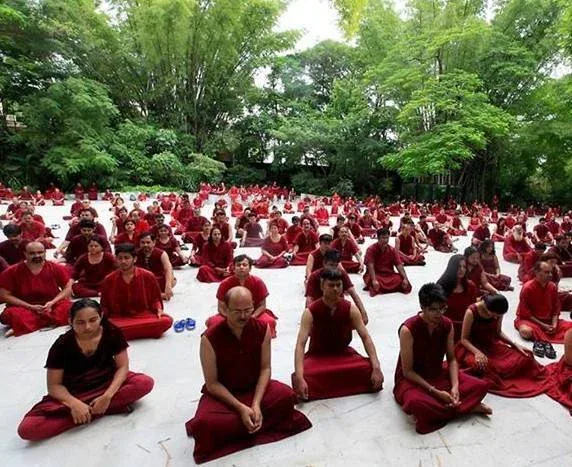 More than just a meditation center, Osho Resort is a lifestyle destination.