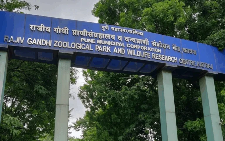 Zookeeper near deer enclosure at Katraj Zoo during FMD outbreak