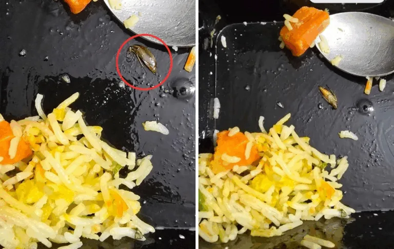 Customer shocked to find cockroach in pulav from online food delivery