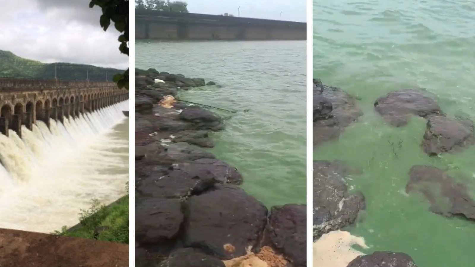 Bhatghar Dam turns emerald green in rare sunlight reflection phenomenon.