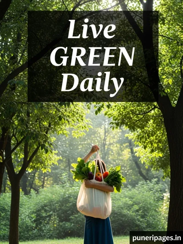 Easy Sustainability Tips for a Greener Daily Life