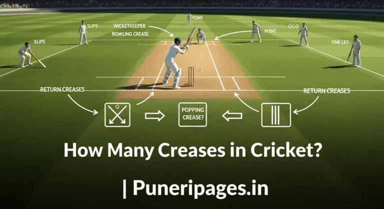 A cricket pitch diagram showing all creases clearly labeled with player silhouettes and stumps in view