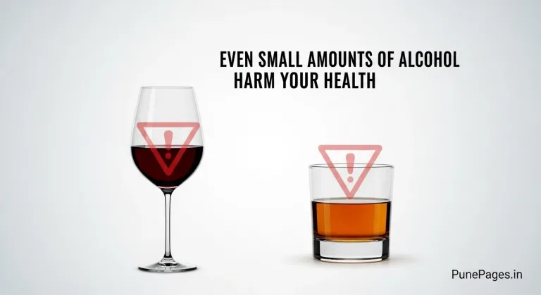 Small amounts of alcohol effects on health – brain, liver, heart, and cancer risk awareness by PunePages.in