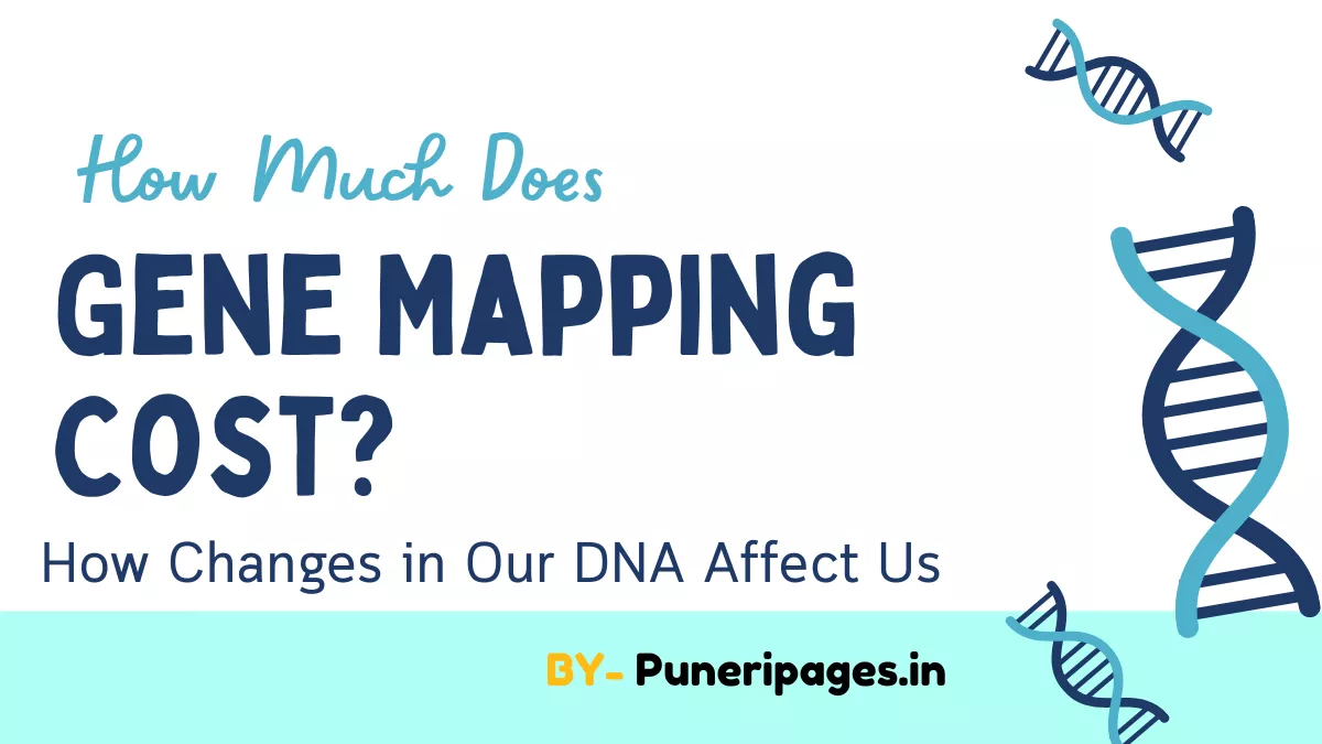 “Gene Mapping Cost – Understanding the Price of Genetic Testing in 2025”