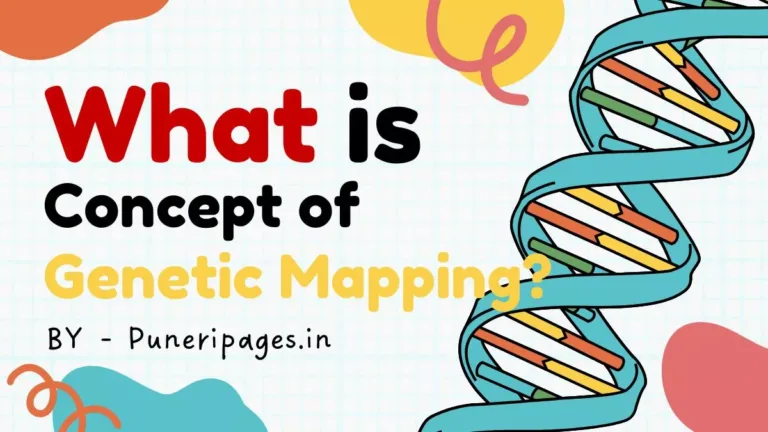 A visual representation of genetic mapping showing DNA helix, chromosomes, and digital genome data, with text “What Is the Concept of Genetic Mapping?” from puneripages.in.