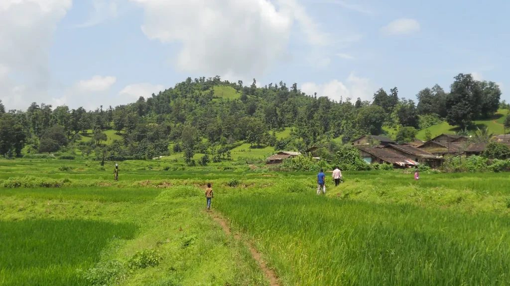 Village homes and fields in Nashik district, Maharashtra, ahead of Census 2027