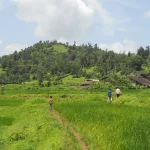 Village homes and fields in Nashik district, Maharashtra, ahead of Census 2027