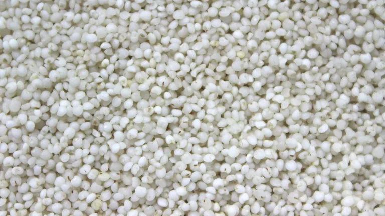 Millets and grains displayed at an Indian food market